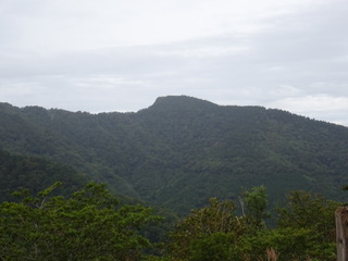 DSC00750.JPG