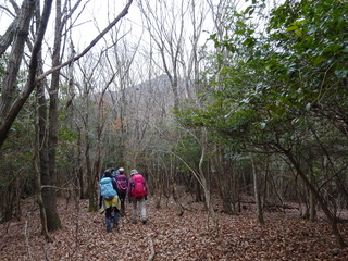 DSC00924.JPG