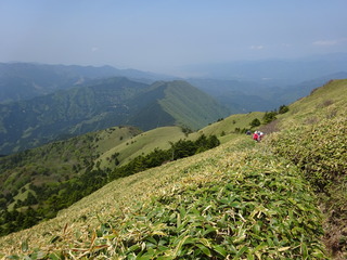 DSC01106.JPG