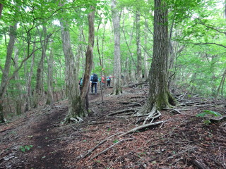 DSC01117.JPG