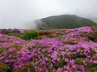 DSC01121.JPG