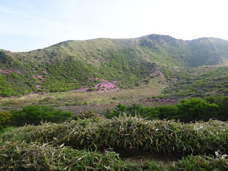 DSC01163.JPG