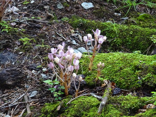 DSC01273.JPG