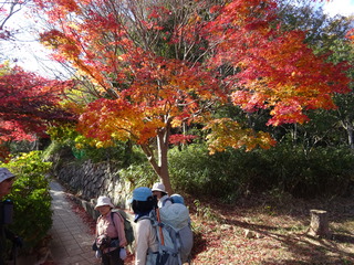 DSC01610.JPG
