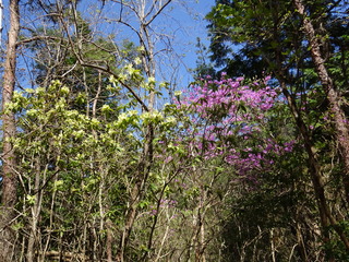 DSC01859.JPG