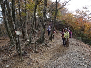 DSC02656 s.JPG