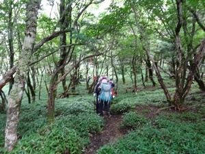 DSC02934  s5.JPG