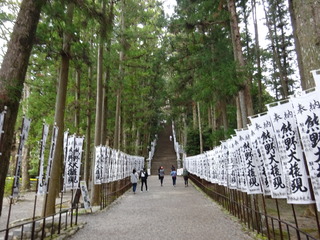 DSC03660.JPG