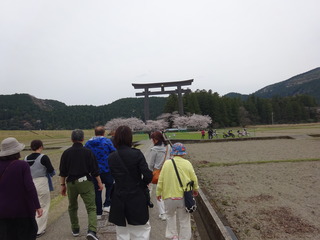 DSC03663.JPG