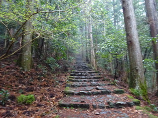 DSC03675.JPG