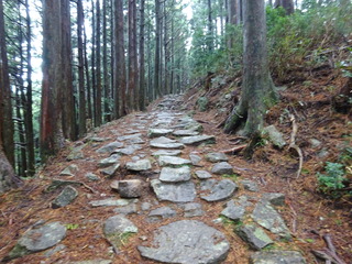 DSC03676.JPG