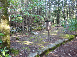 DSC03685.JPG