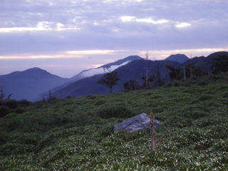 IMGP0001.JPG