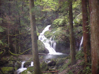 IMGP0082.JPG