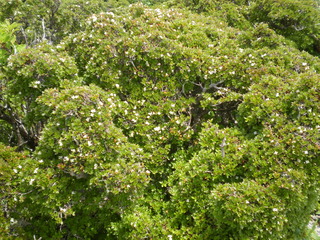 IMGP0642.JPG