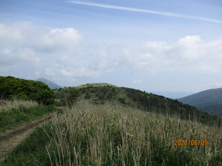 IMG_1565.JPG