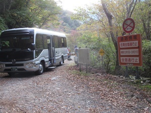 IMG_4231 S.JPG