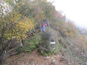 IMG_4264 S.JPG