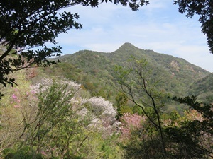 IMG_8692S4.JPG