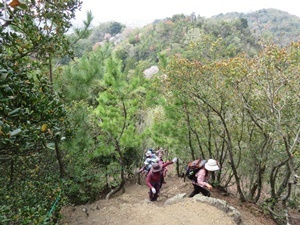 IMG_8698S5.JPG