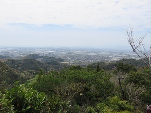 IMG_8707S7.JPG