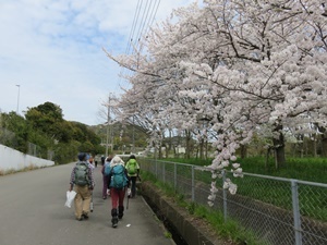 IMG_8739S13.JPG