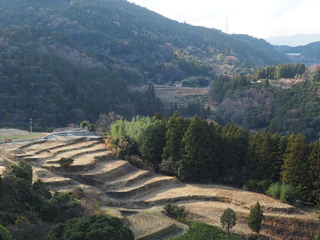 P1034441.JPG