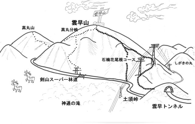 �_���R�C���X�g